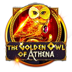 bingo cards generator how to win bet on 1xbet